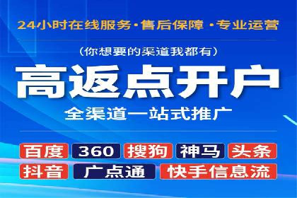 揭秘成功的关键词竞价排名背后的策略与执行